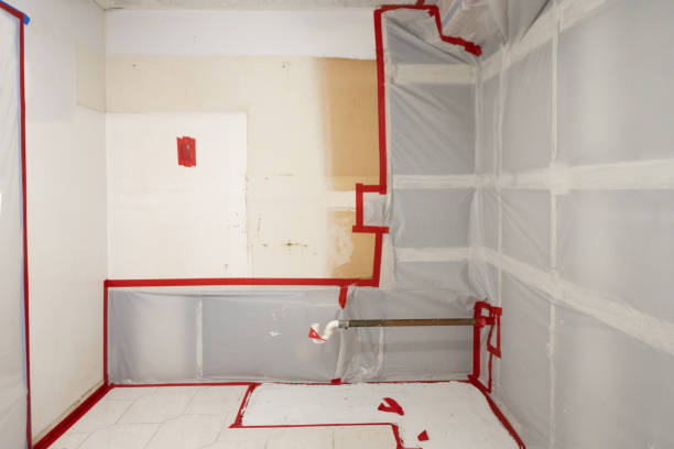 Foley, MN Mold Removal Company