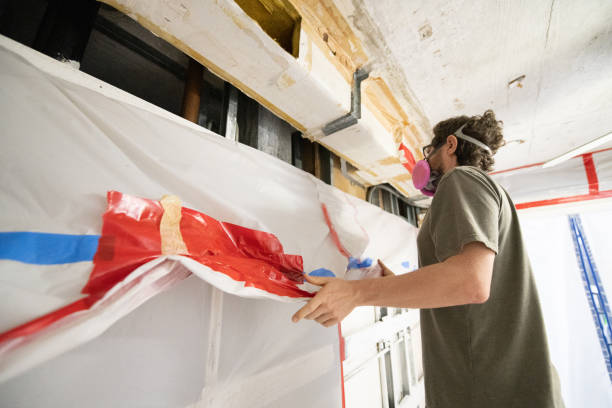 Best Crawl Space Mold Remediation  in Foley, MN