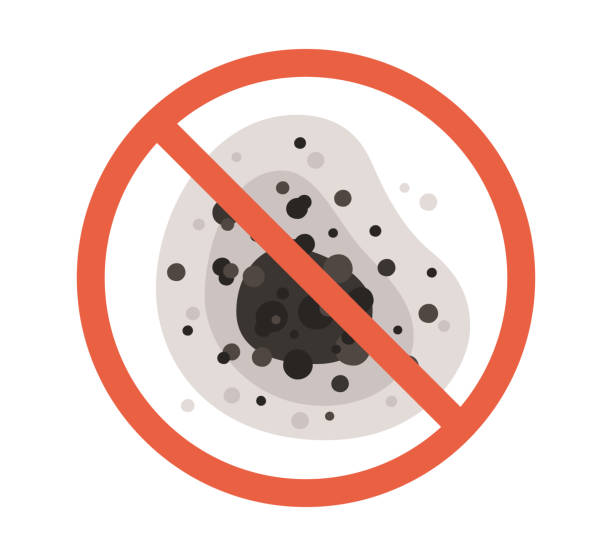 Best Black Mold Removal  in Foley, MN