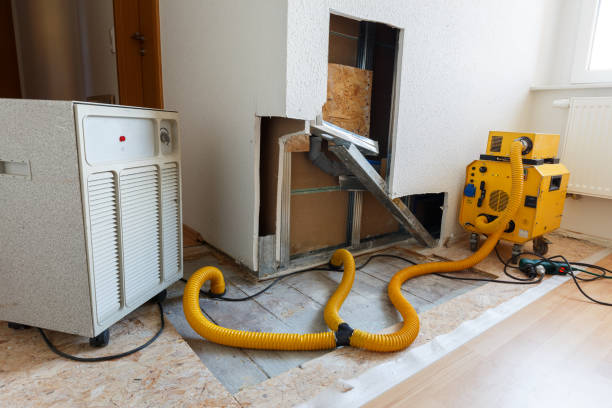 Best Mold Damage Restoration  in Foley, MN