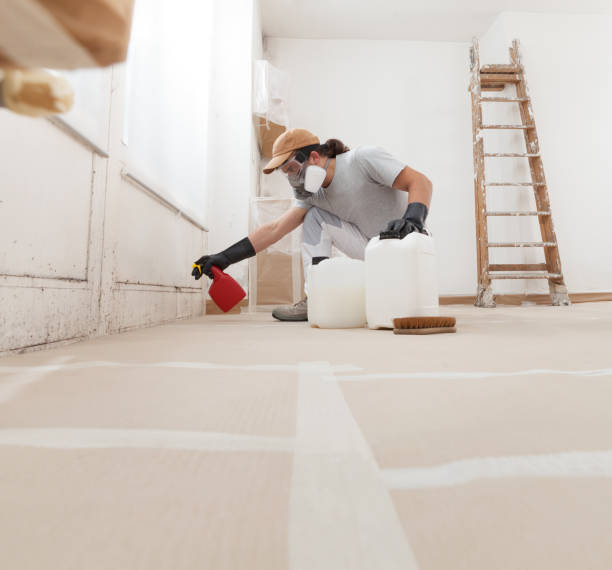 Best Mold Prevention Services  in Foley, MN